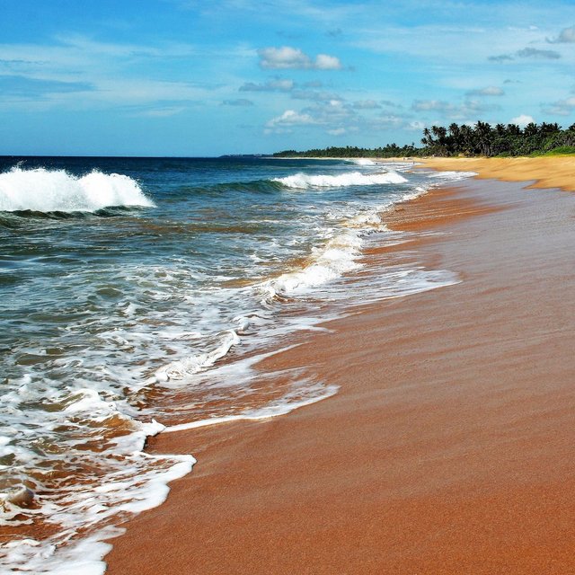 Placid Sounds of Waves for Babies Sleep