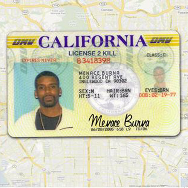License 2 Kill