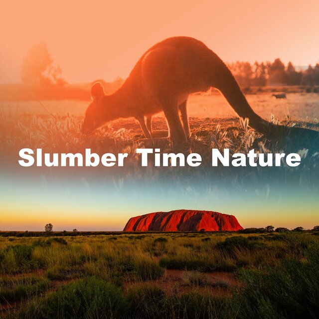 Slumber Time Nature