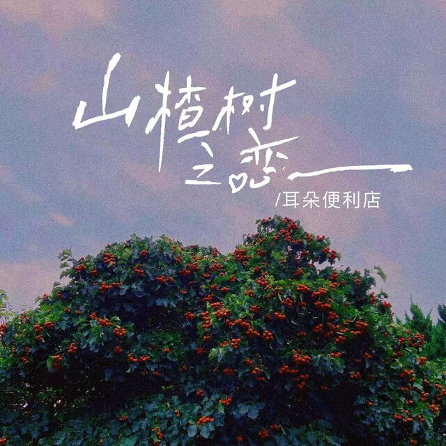 山楂树之恋 (男版)