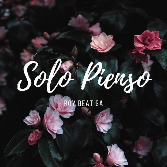 Solo Pienso