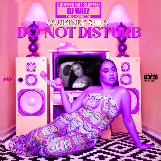 Do Not Disturb (ChopNotSlop Remix)