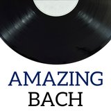 Concerto pour violon en la mineur, BWV 1041: II. Andante