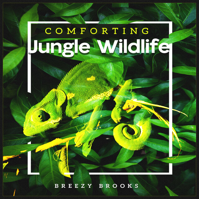 Comforting Jungle Wildlife