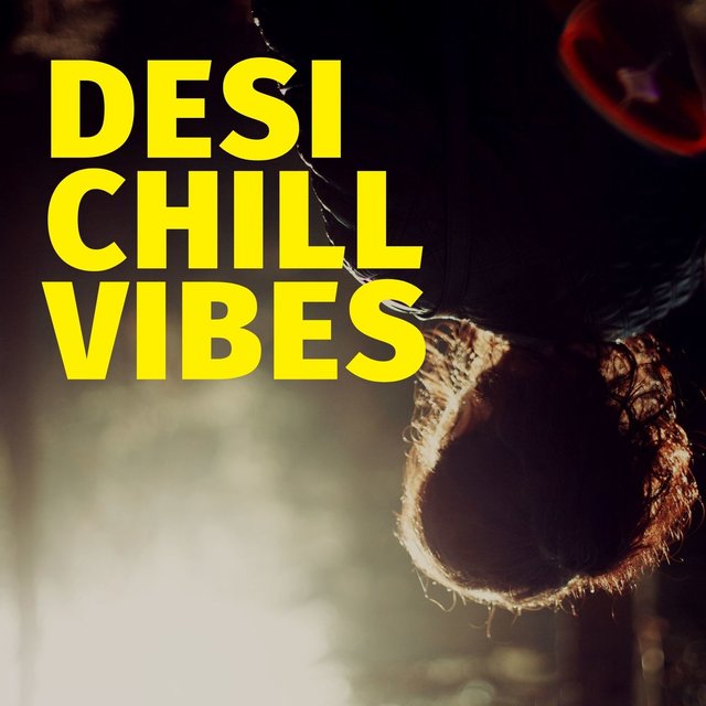 Desi Chill Vibes