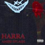 Amiri Splash