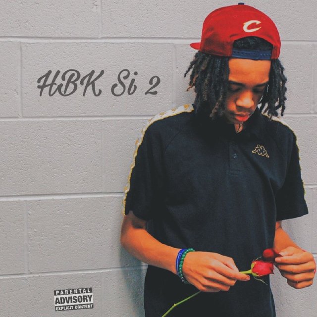 HBK Si 2