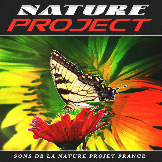 Nature Project