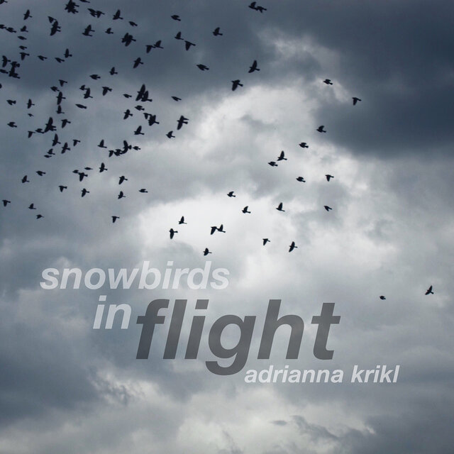 Snowbirds In Flight
