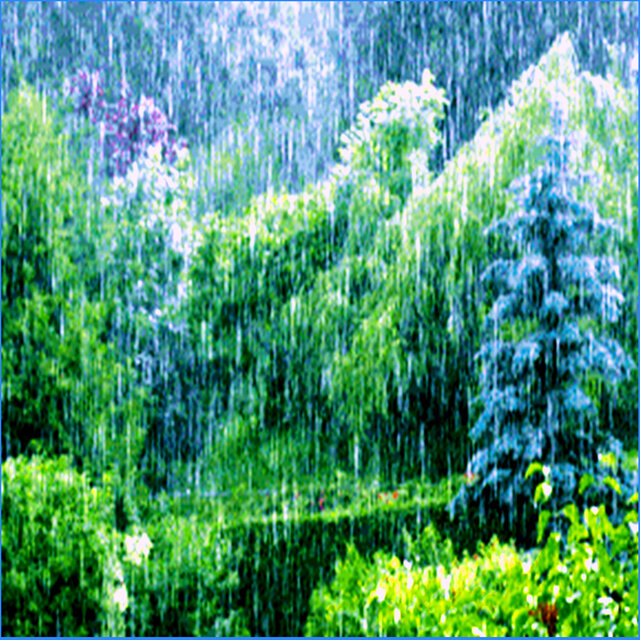 The Living Forest Rain (Click Shuffle, Gapless, Repeat, and Crossfade to Choosing for a Unique Perpetual Journey Every Time)