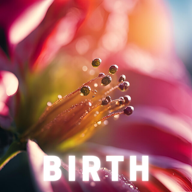 Birth