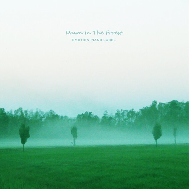 Dawn In The Forest