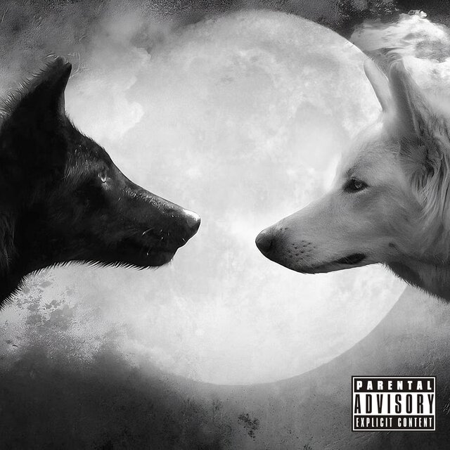THE TWO WOLVES WITHIN