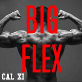 BIG FLEX