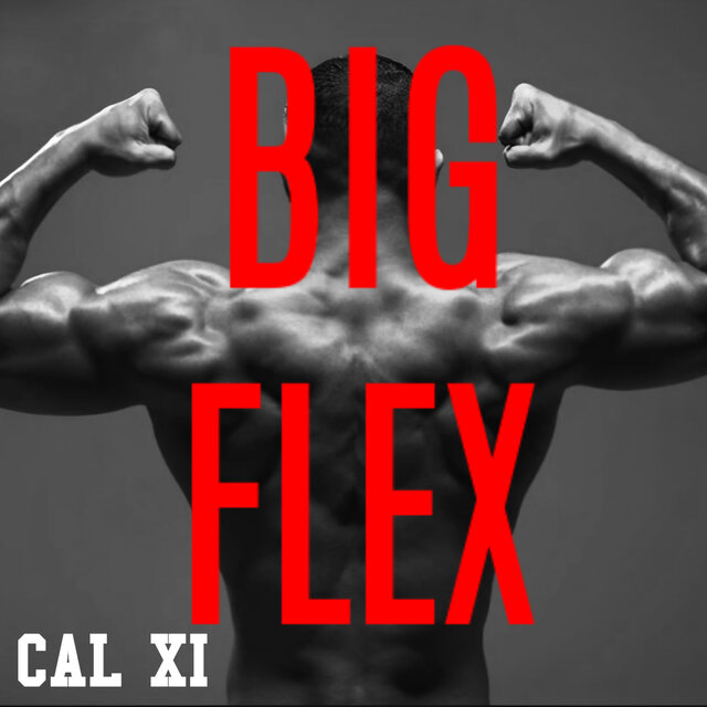 BIG FLEX