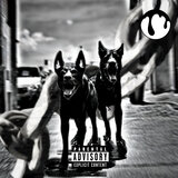 Perros