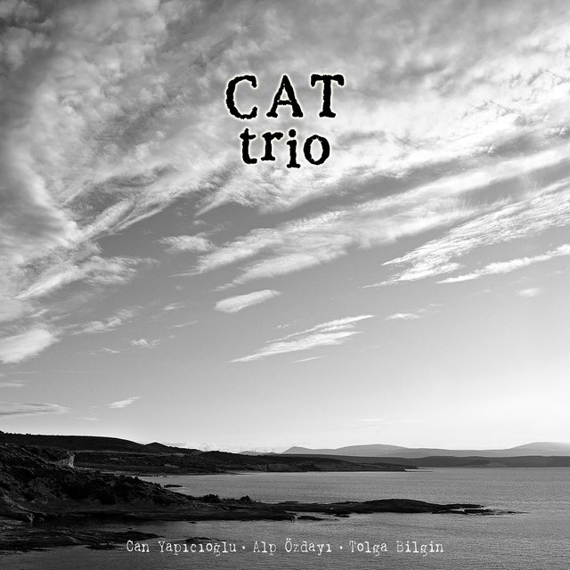 Cat Trio