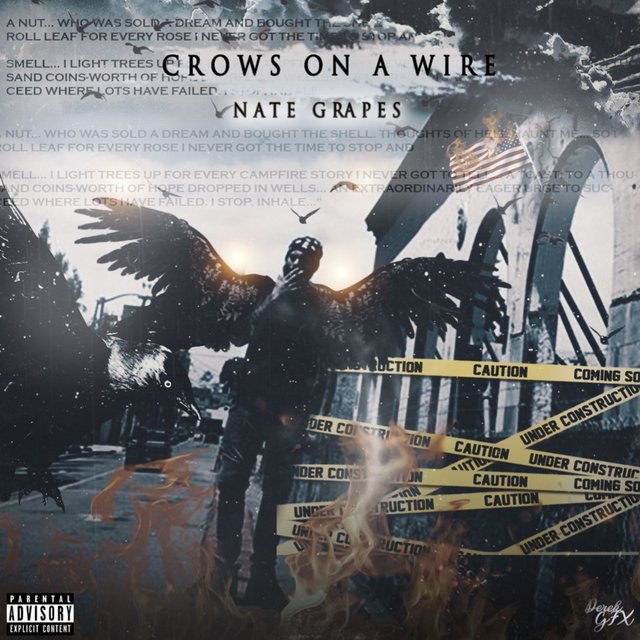Crows on a Wire