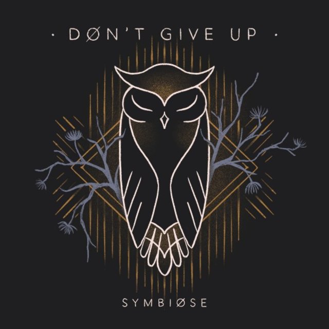 Don't Give Up