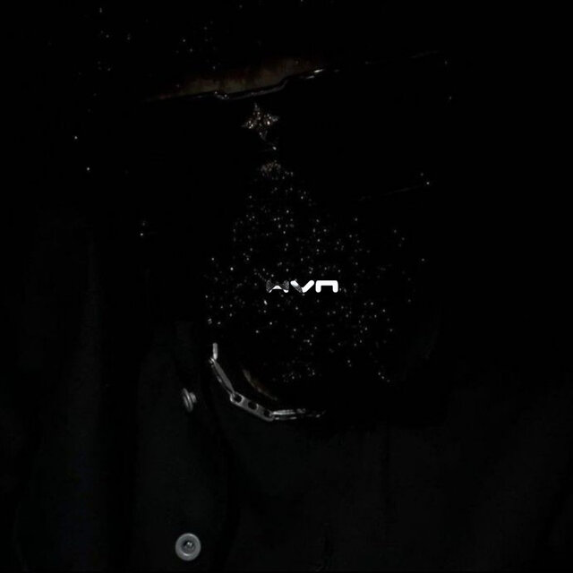 HVN