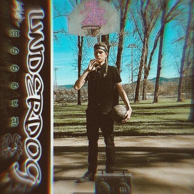 UNDERDOG