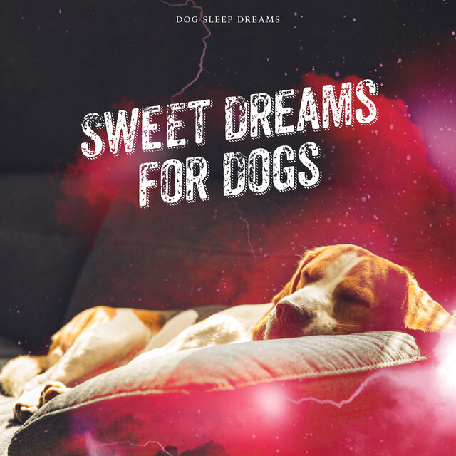 Sweet Dreams for Dogs