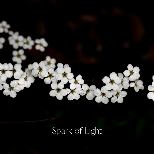 Spark of Light
