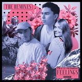 Feelings