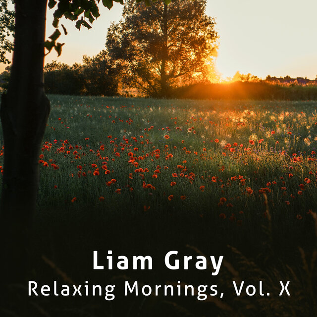 Relaxing Mornings, Vol. X