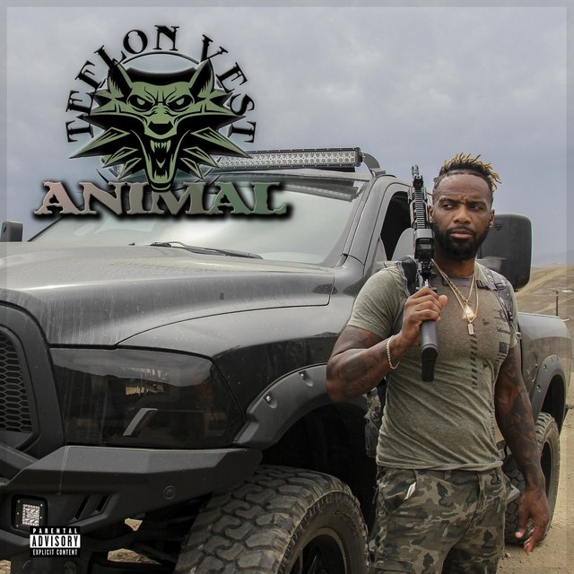Animal