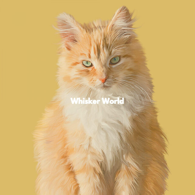 Whisker World