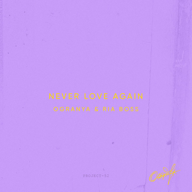 Never Love Again