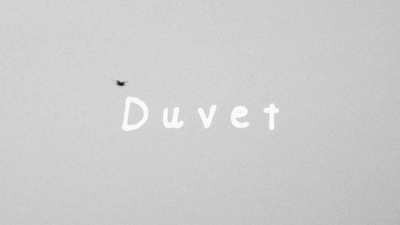 Duvet