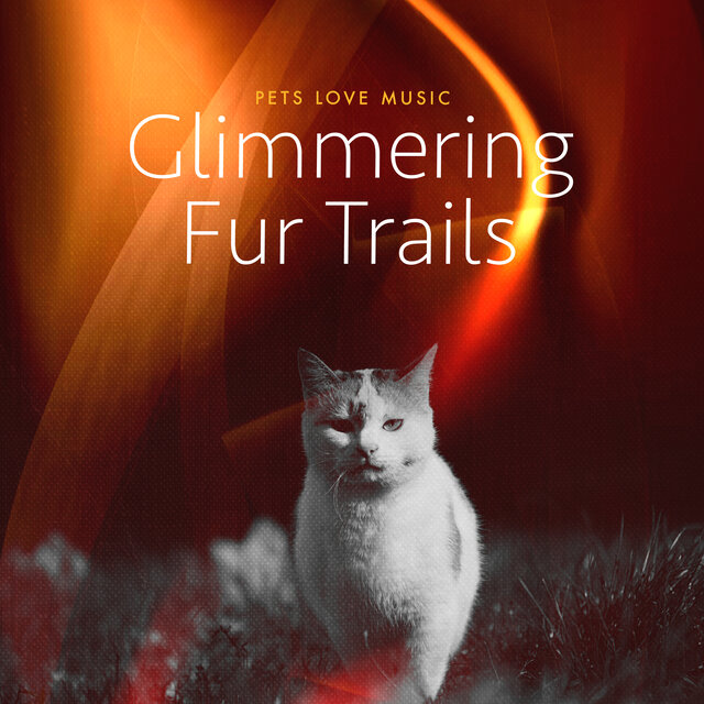 Glimmering Fur Trails
