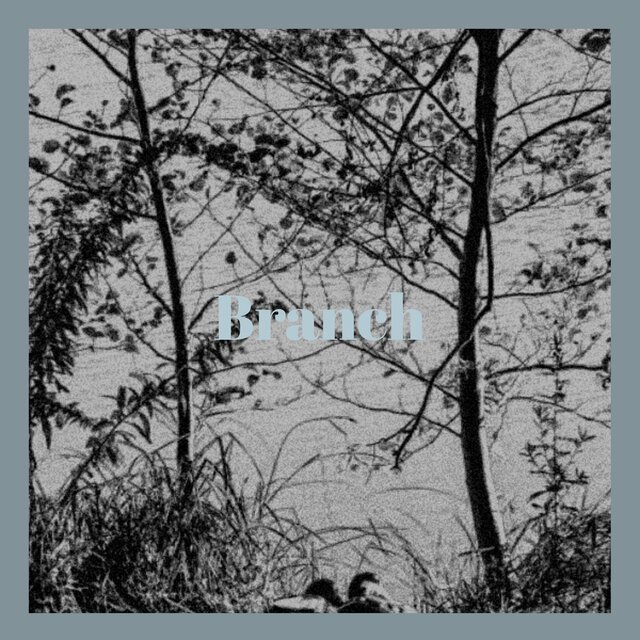 Branch