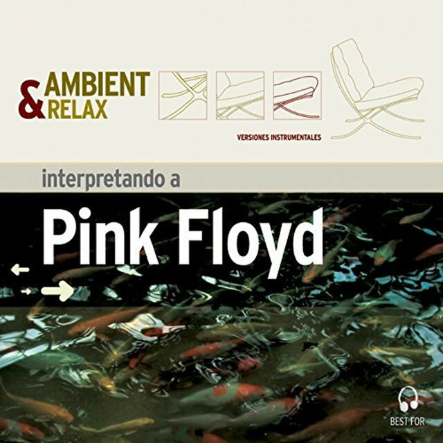Interpretando a Pink Floyd
