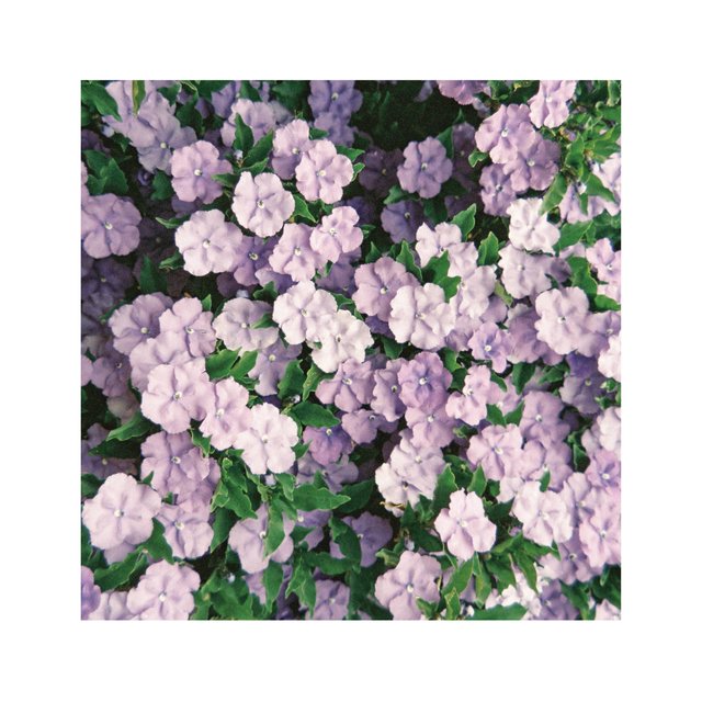 Ambient Instrumental