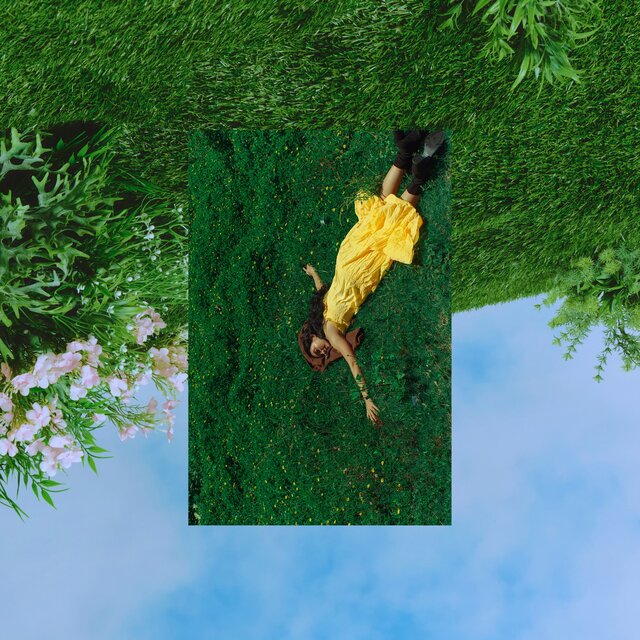 Rise