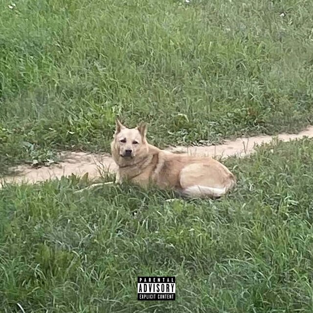 Third Unknown Tape