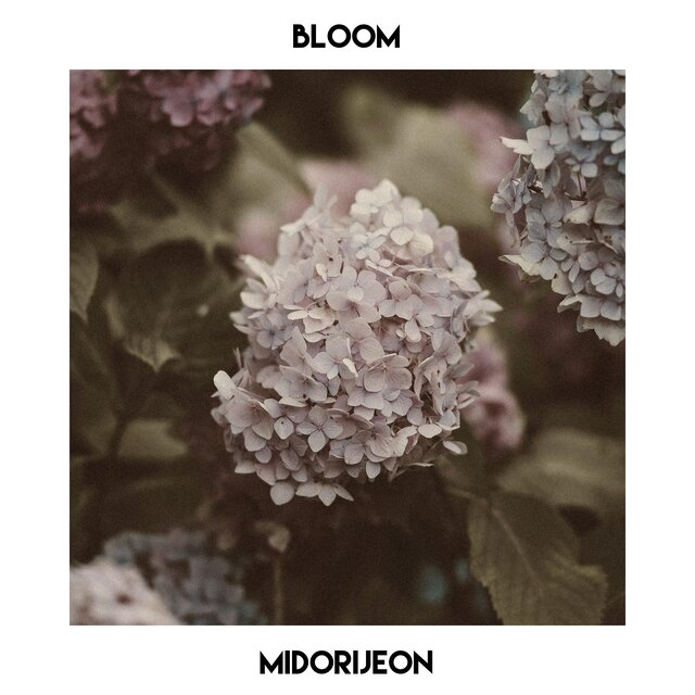 bloom