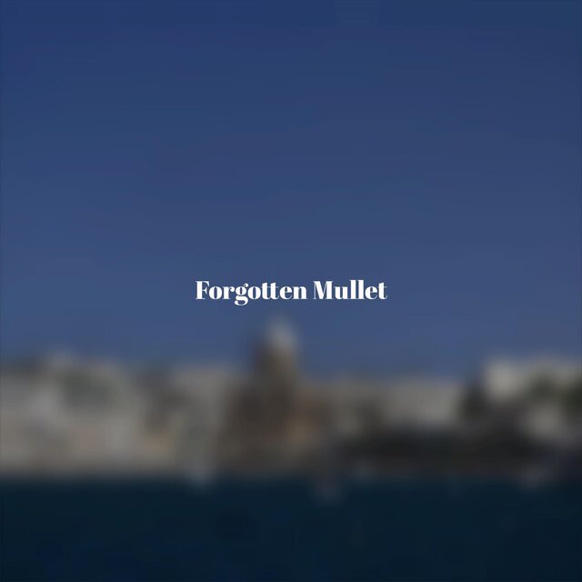 Forgotten Mullet