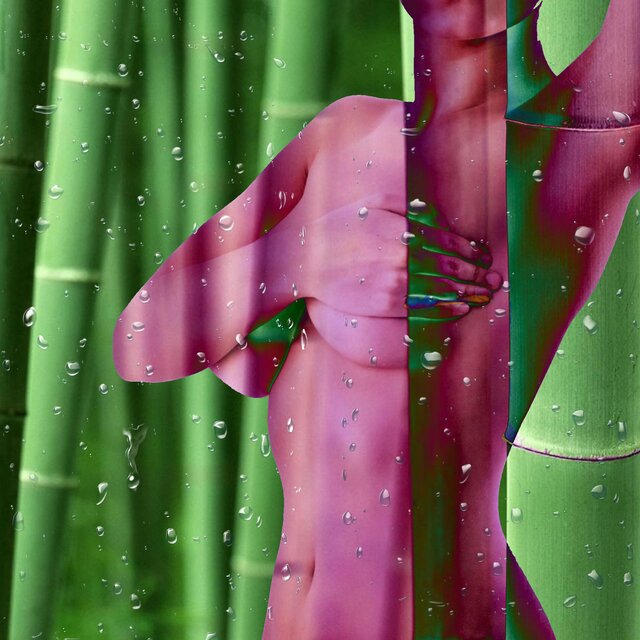 Bamboo