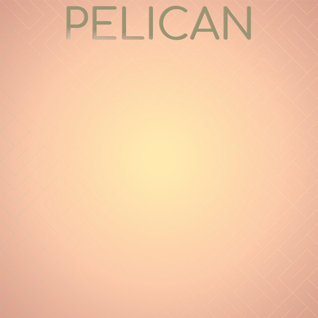 Pelican