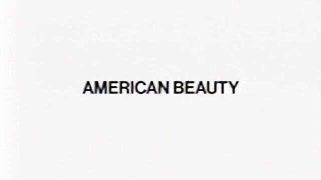 AMERICAN BEAUTY (Lyric Video)