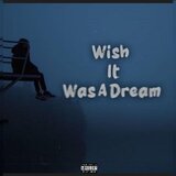 Wish It Was A Dream