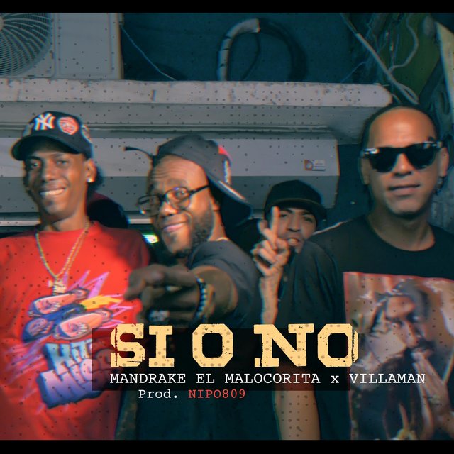 Si o No