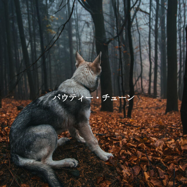 パウティー・チューン