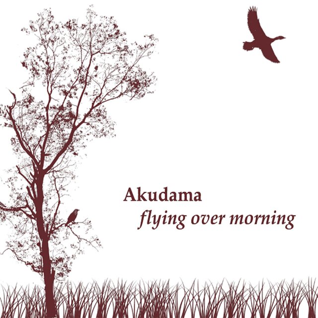Flying Over Morning