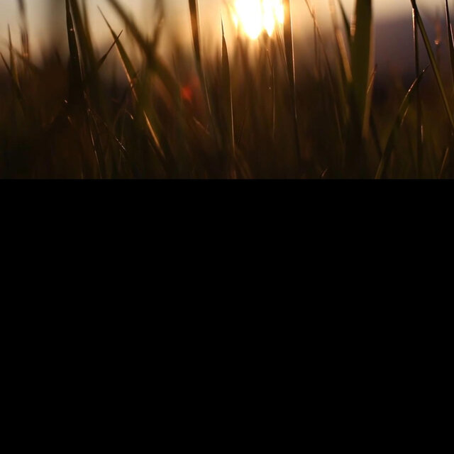 Sunset Tambourine