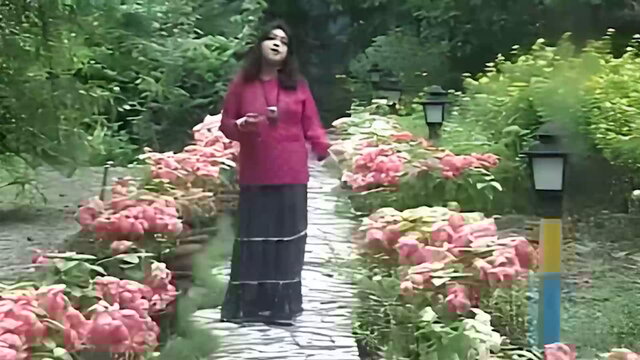 Pakhi Ja Ure Ja